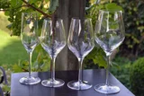 exqi rood wijnglas42 cl 1