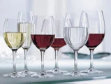 waterglas 1 schott zwiesel santo 1